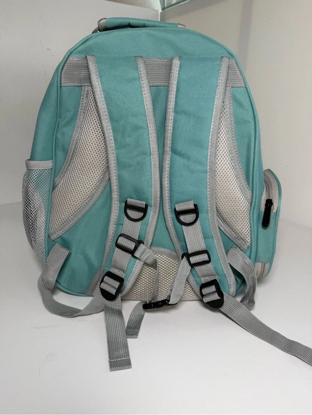 Backpack pet carrier never used. Perfect for travel with cat small dogs animals.